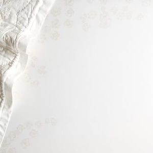 Pottery barn kids baby sheet Monique Lhullier floral